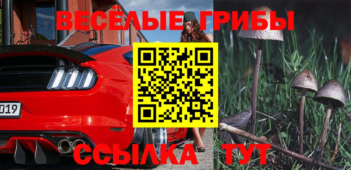 Галлюциногенные грибы Magic Shrooms Абинск