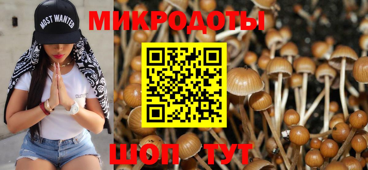 Абинск  Псилоцибиновые грибы ЛСД  Галлюциногенные грибы ЛСД  где продают   Вход с VPN 
